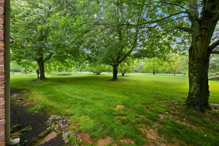 Listing Image 58