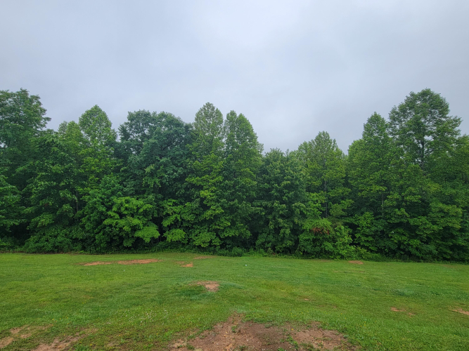 Listing Image 33