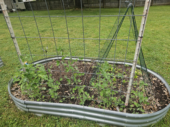 Listing Image 15