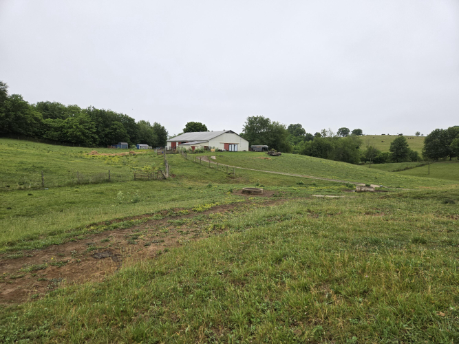 Listing Image 14