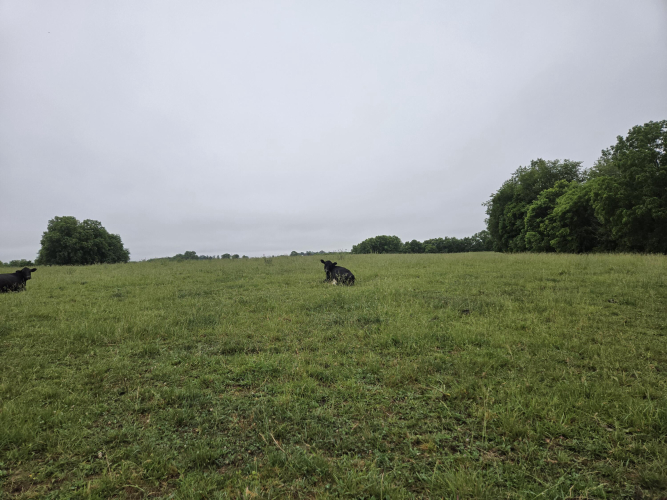 Listing Image 17