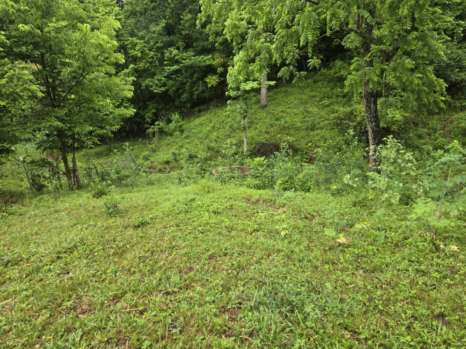 Listing Image 24