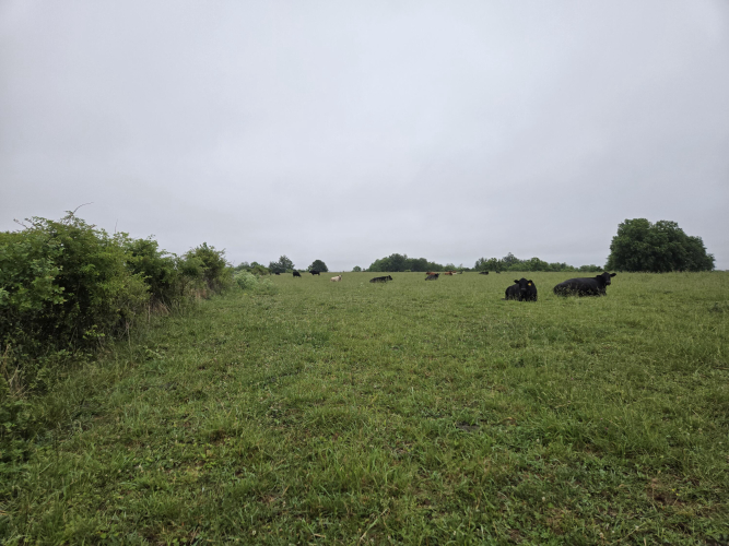 Listing Image 26