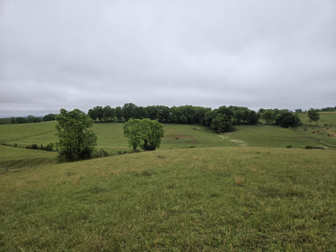 Listing Image 28