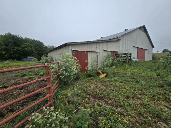 Listing Image 7