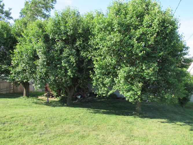Listing Image 47
