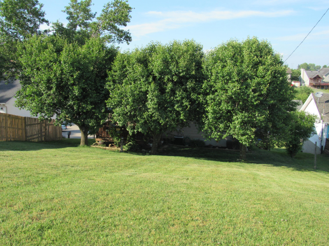 Listing Image 48