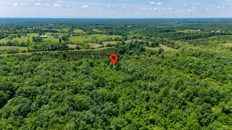 Listing Image 45