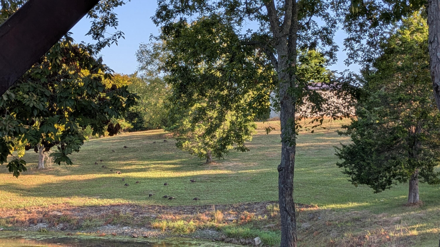 Listing Image 55