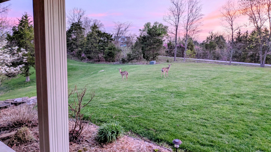 Listing Image 58