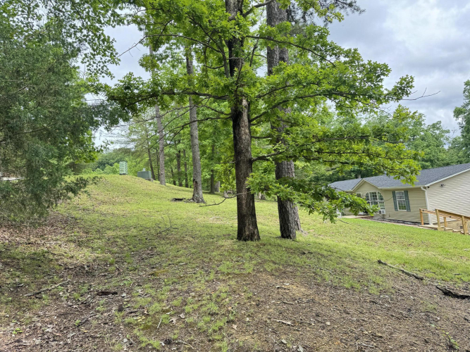 Listing Image 38