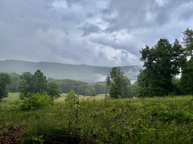 Listing Image 103