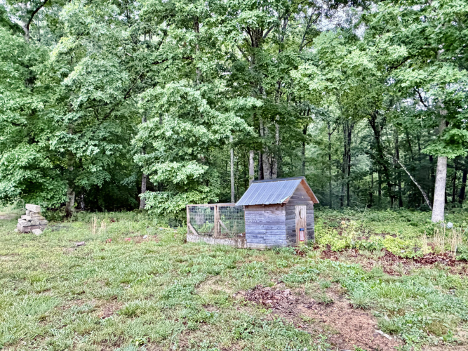 Listing Image 44