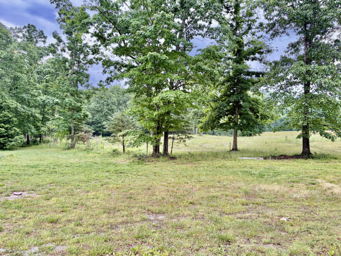 Listing Image 50