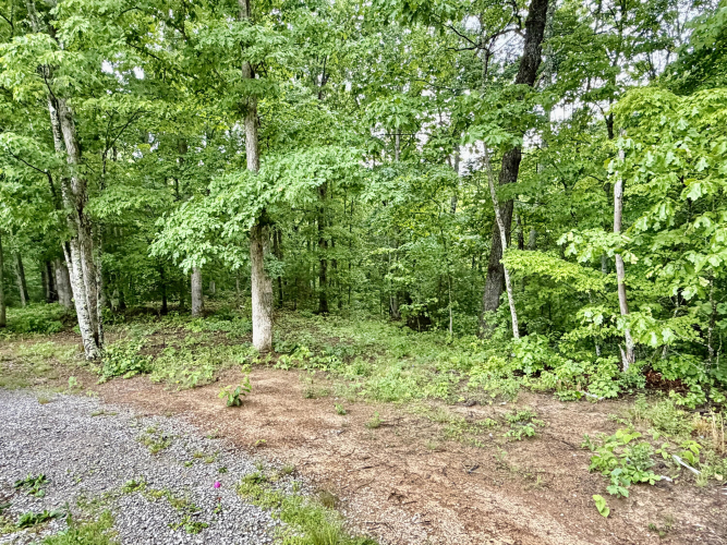 Listing Image 51