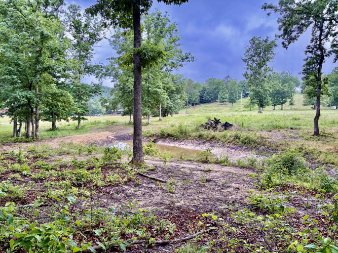 Listing Image 53