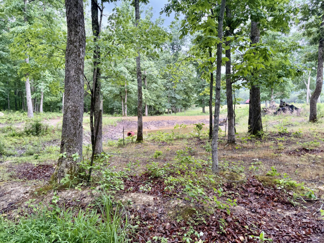 Listing Image 54