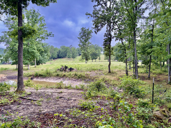 Listing Image 55