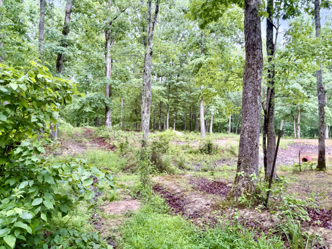 Listing Image 56