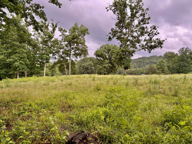 Listing Image 57