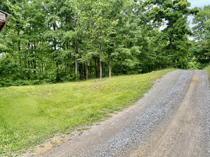 Listing Image 87