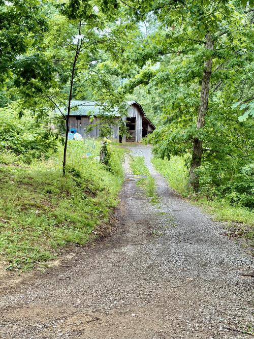 Listing Image 90