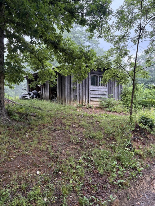 Listing Image 97