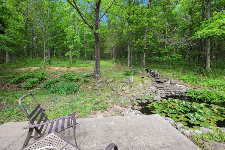 Listing Image 50