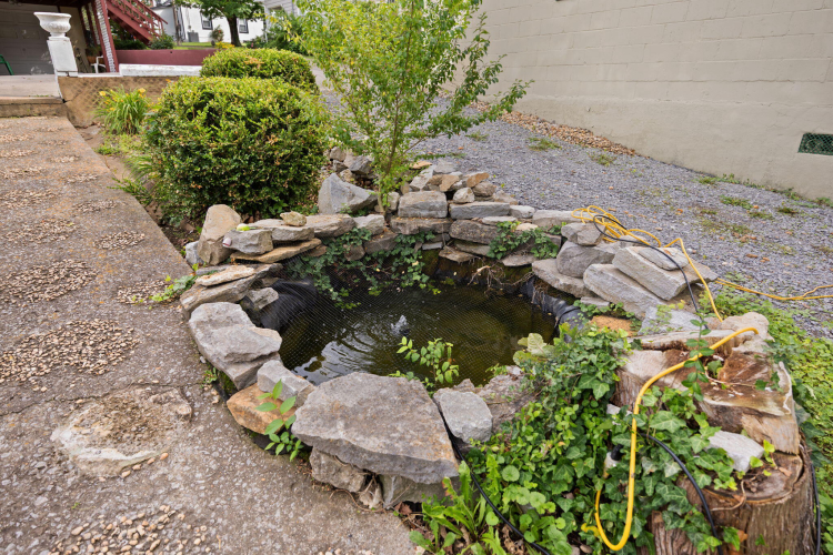 Listing Image 53