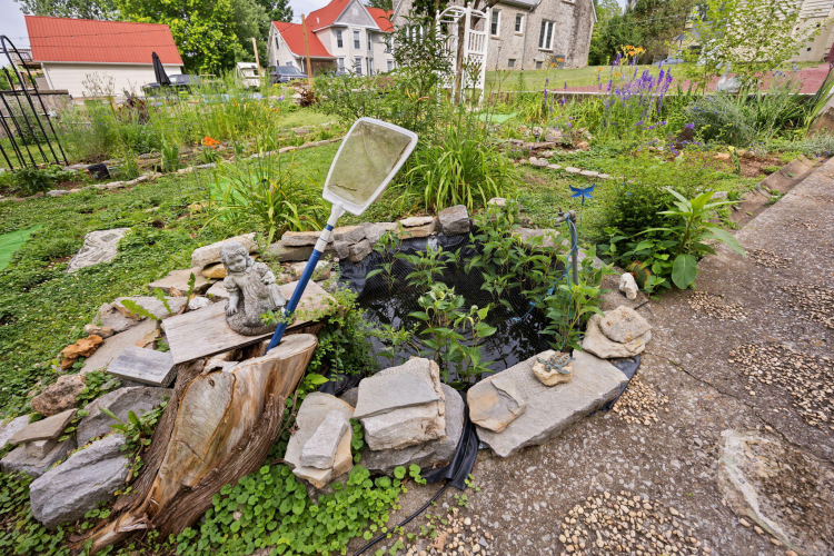 Listing Image 54