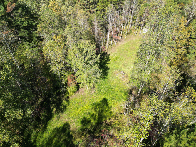 Listing Image 24