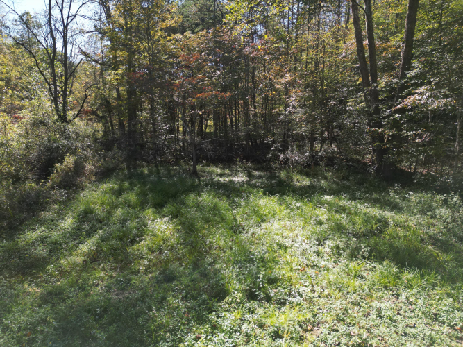 Listing Image 27