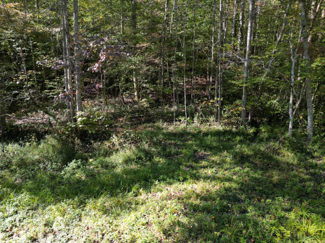 Listing Image 28