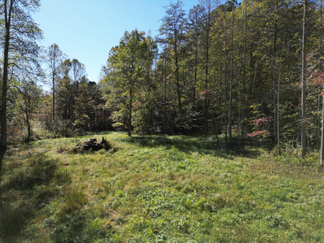 Listing Image 29