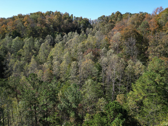 Listing Image 31
