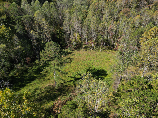 Listing Image 33