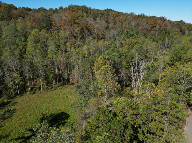 Listing Image 34