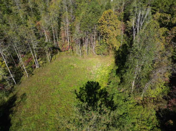 Listing Image 35
