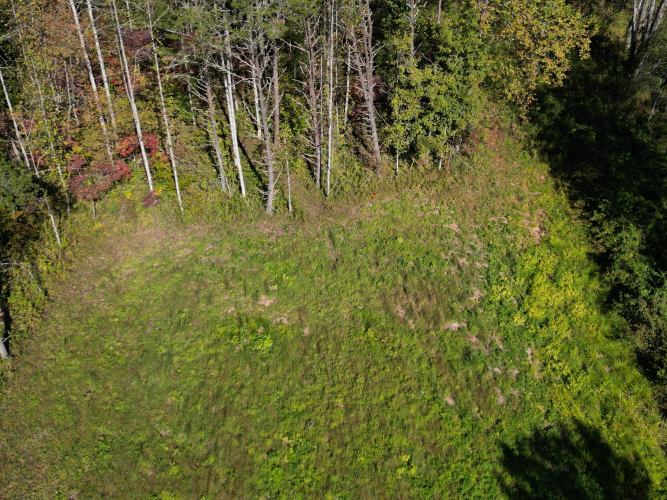 Listing Image 37