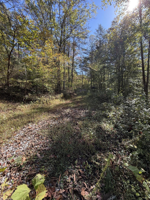 Listing Image 42