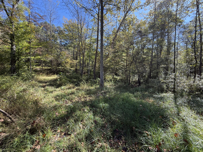 Listing Image 43