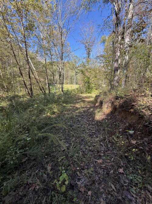 Listing Image 44