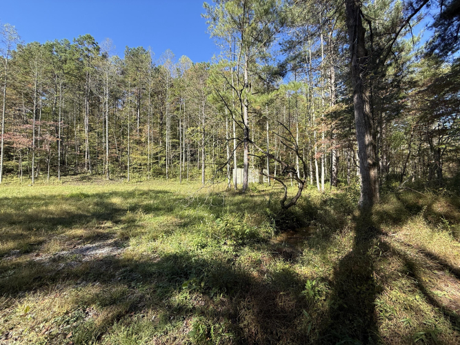 Listing Image 45