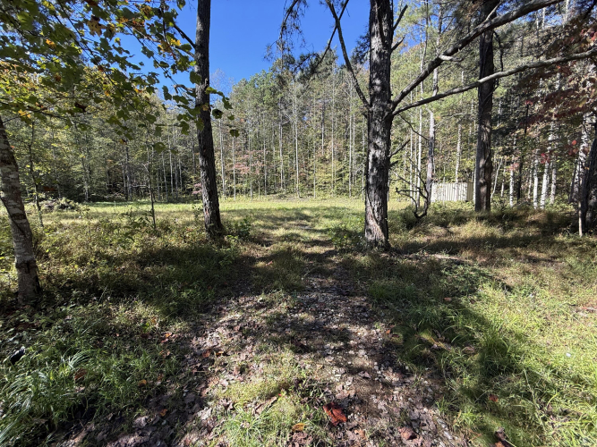 Listing Image 46