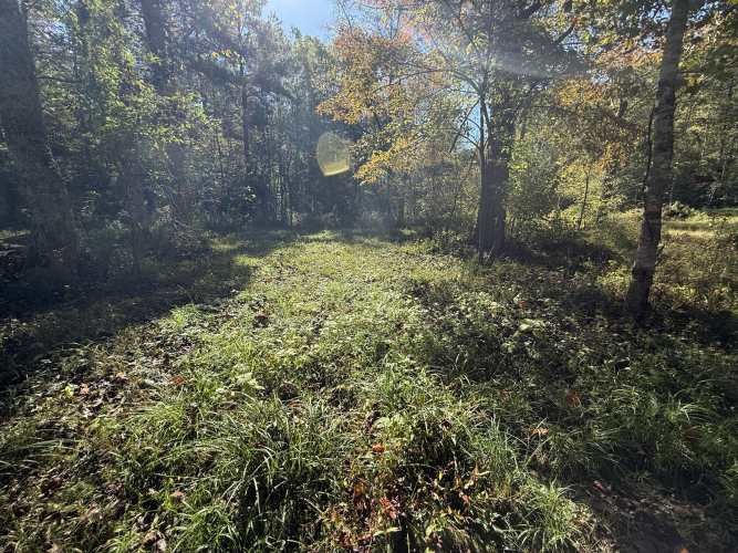 Listing Image 47