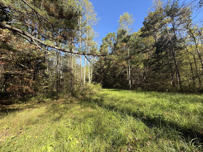 Listing Image 48