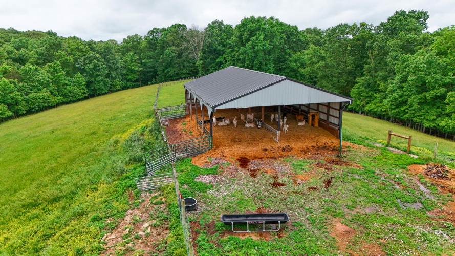Listing Image 13