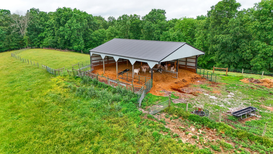 Listing Image 14