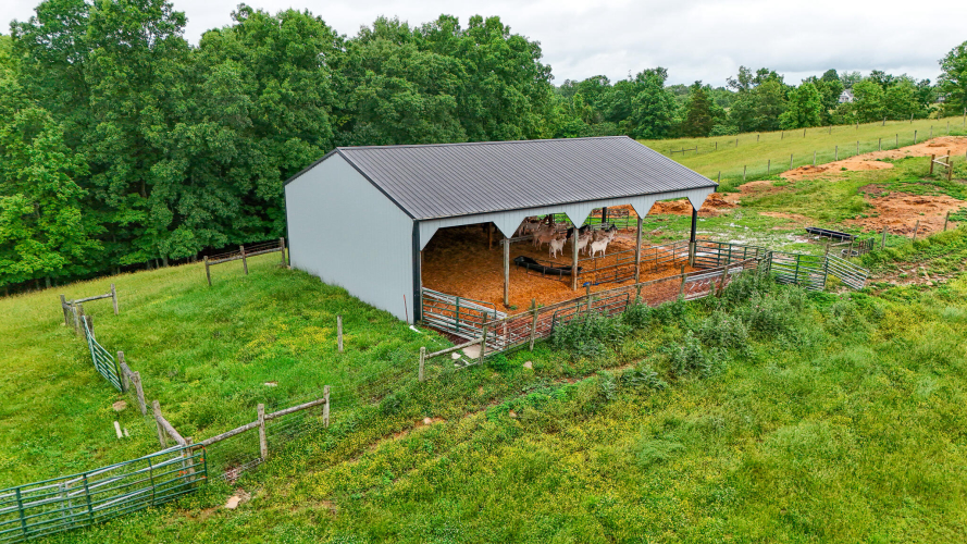 Listing Image 15