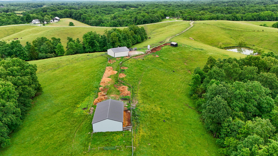 Listing Image 16